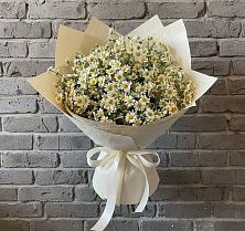 Букет цветов из:  Ромашки #REPLACE_PRED# Пироговском