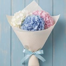 Букет цветов из:  Гортензия в Пироговском