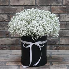 Цветочная композиция из Гипсофила в шляпной коробке #REPLACE_PRED# Пироговском