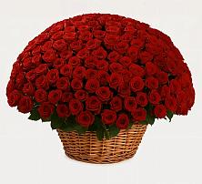 Премиум букет из: Розы в Пироговском