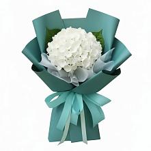 Букет цветов из:  Гортензия в Пироговском